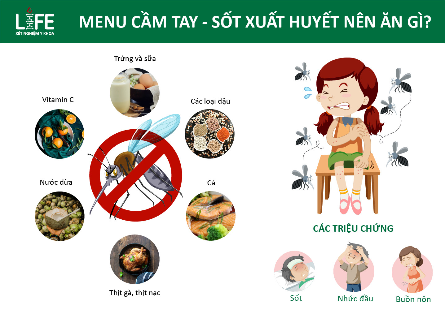 MuỐn KhỎi BỆnh SỐt XuẤt HuyẾt CẦn Ăn NhỮng GÌ Trung TÂm XÉt NghiỆm Y Khoa Life 